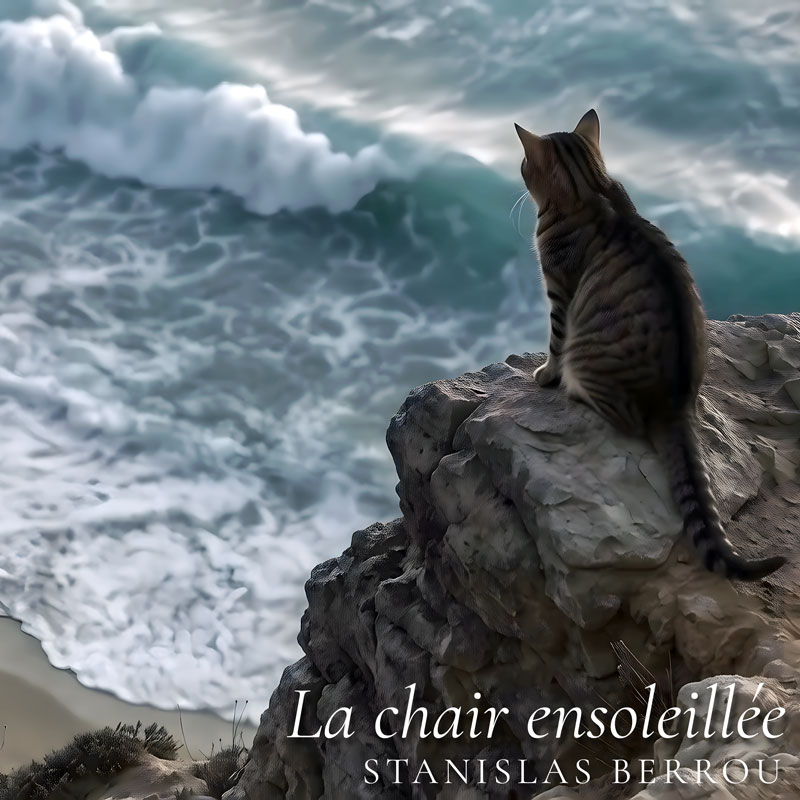 La chair ensoleillée (Electro Folk) - Official video